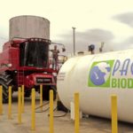 Pacific Biodiesel’s first sunflower crop is headed to harvest